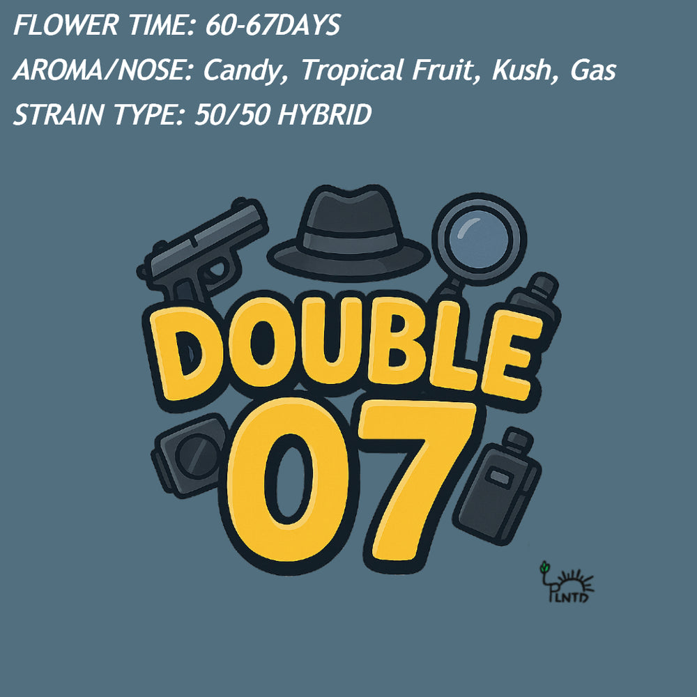 Double 07 Auto — Fast Cycle Genetics