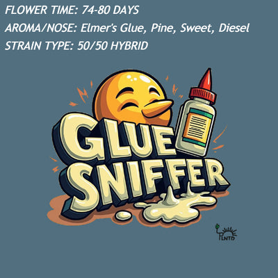 Glue Sniffer V2   — Fast Cycle Genetics