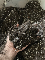 Water Only Grow Kit