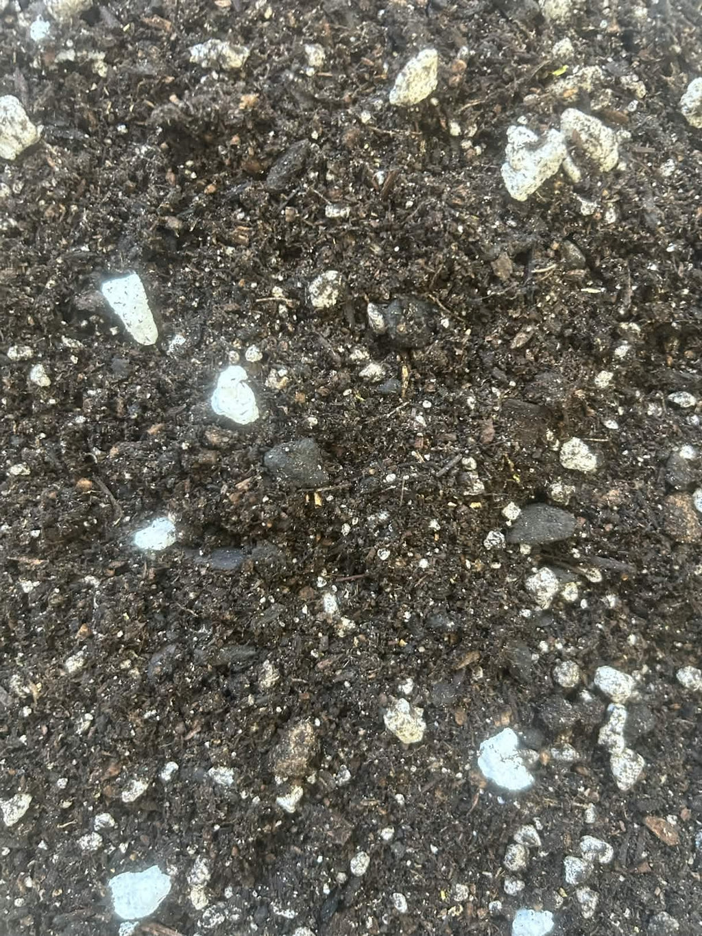 Water Only Grow Kit