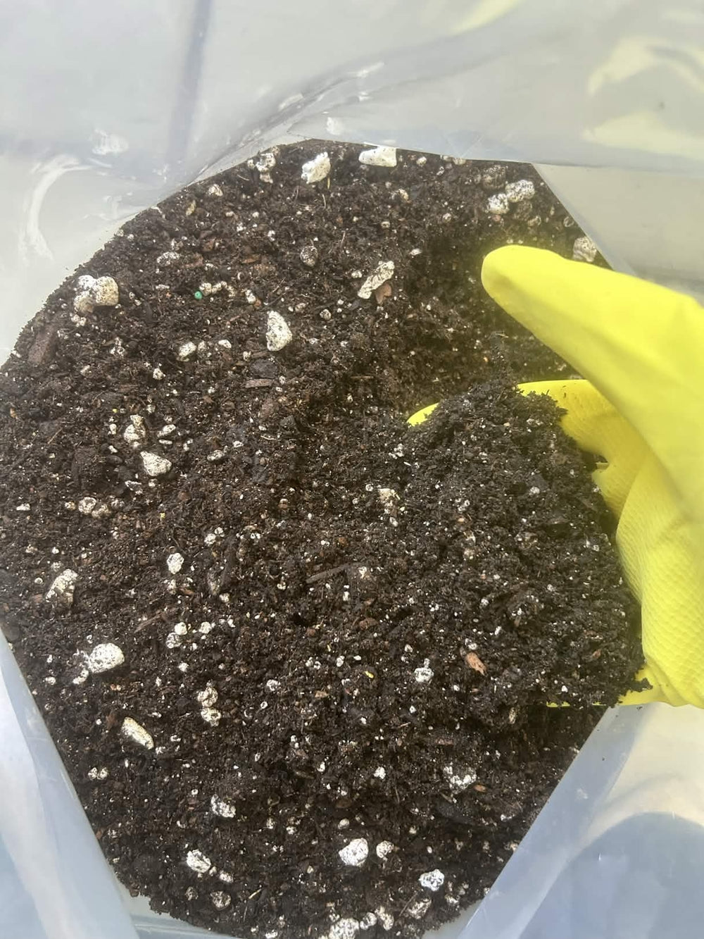 Autoflower Grow Soil — Refill Blend