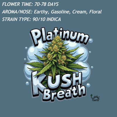 Platinum Kush Breath Auto — Fast Cycle Genetics