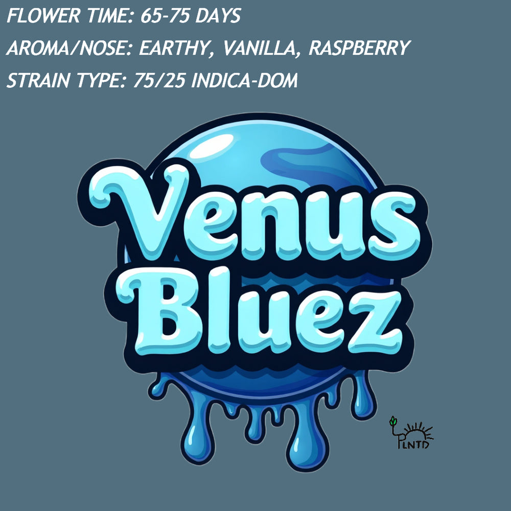 Venus Bluez Auto  — Fast Cycle Genetics