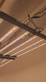 720watt Samsung Diode LED Grow Light